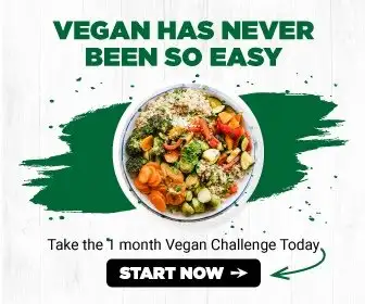 vegan recipes